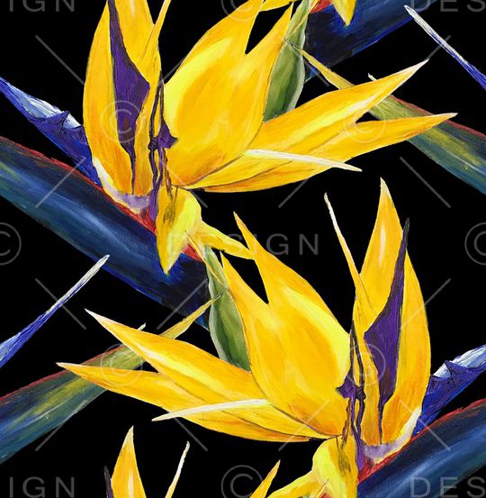 仙人掌印花华亿平台图片