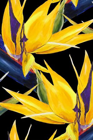 仙人掌印花华亿平台图片