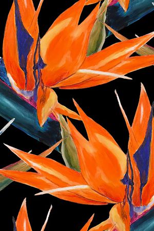 火烈鸟印花华亿平台图片