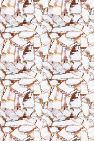 大牌风印花华亿平台图片