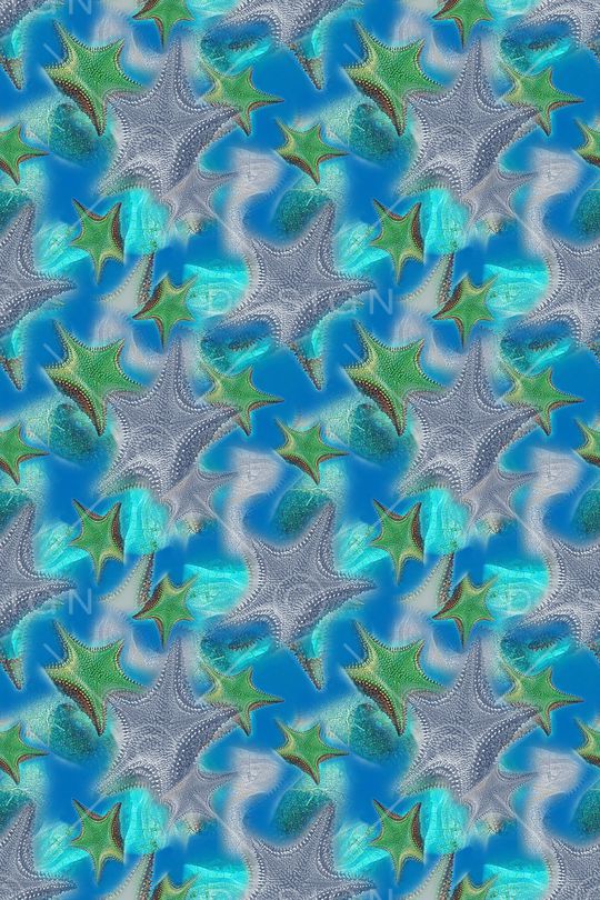 海底宝藏印花华亿平台图片