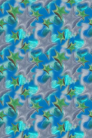 海底宝藏印花华亿平台图片