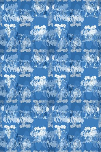 1251311-190906-hdbc-5-00