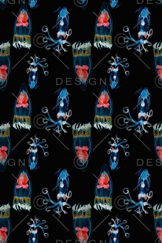 海底宝藏印花华亿平台图片