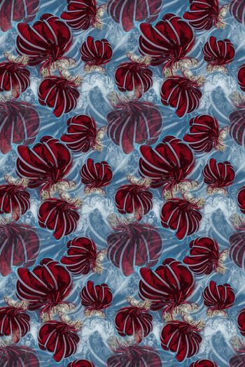 1251323-190906-hdbc-10-2