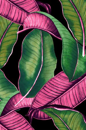 棕榈树印花华亿平台图片