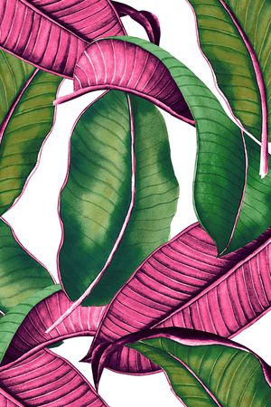 棕榈树印花华亿平台图片