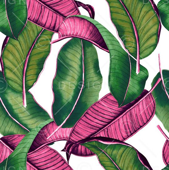 棕榈树印花华亿平台图片