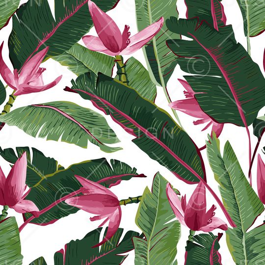 棕榈树印花华亿平台图片