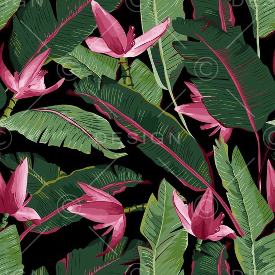 棕榈树印花华亿平台图片