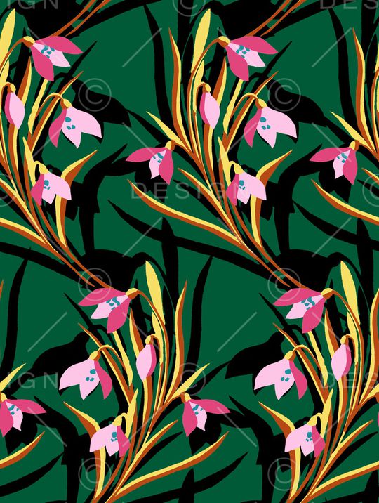 DOLCE GABBANA印花华亿平台图片