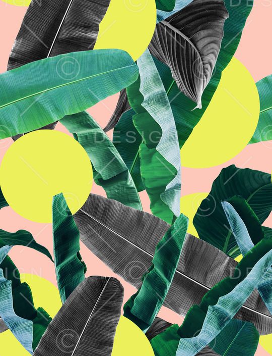 棕榈树印花华亿平台图片