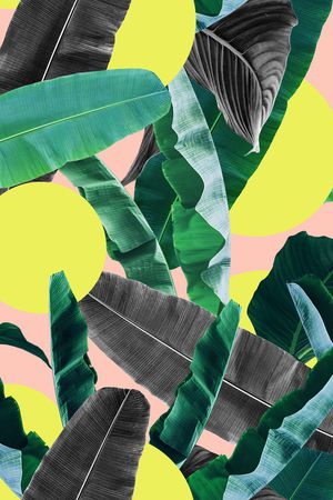 棕榈树印花华亿平台图片