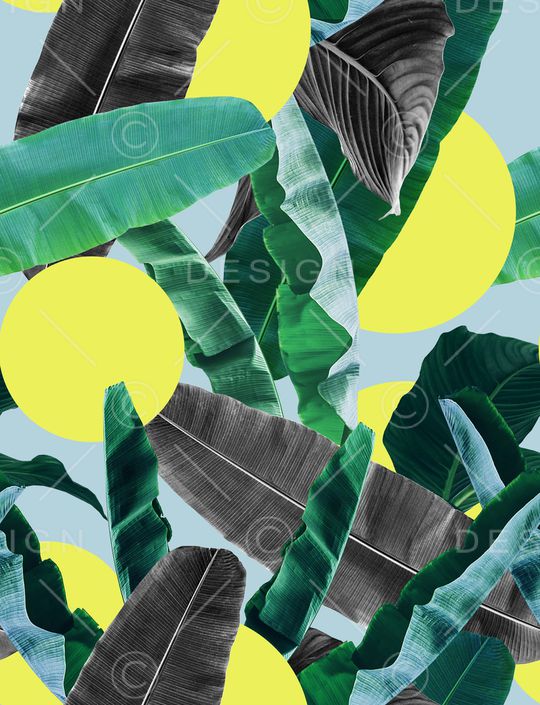 棕榈树印花华亿平台图片