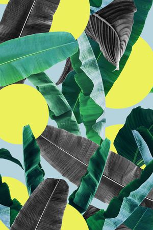 棕榈树印花华亿平台图片