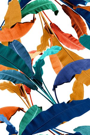 棕榈树印花华亿平台图片