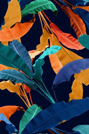 棕榈树印花华亿平台图片