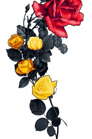 大牌风印花华亿平台图片