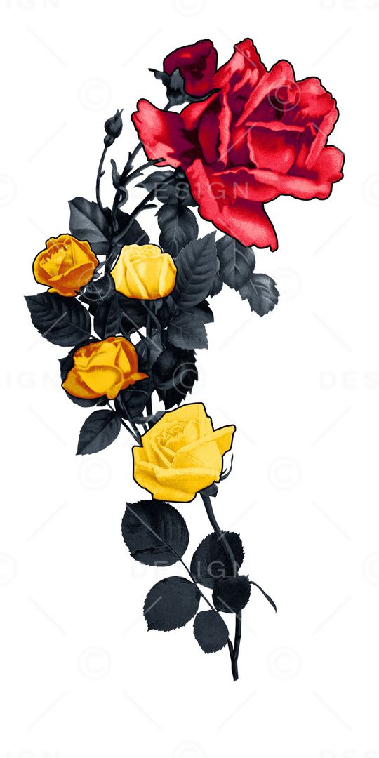 大牌风印花华亿平台图片