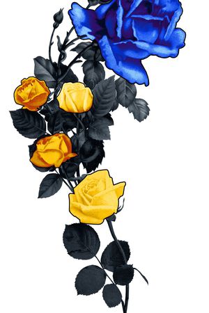 大牌风印花华亿平台图片