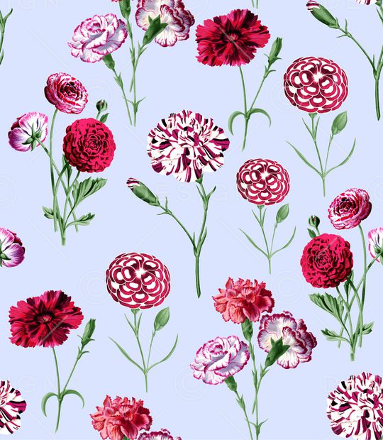 DOLCE GABBANA印花华亿平台图片