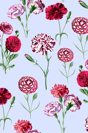 DOLCE GABBANA印花华亿平台图片