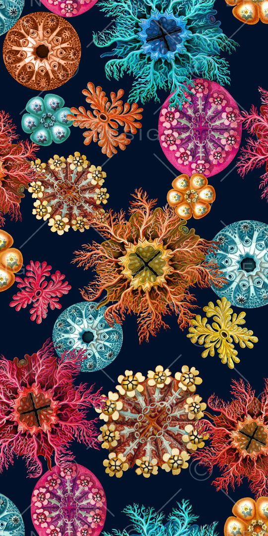 珊瑚印花华亿平台图片