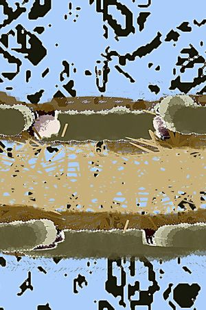 格子印花华亿平台图片