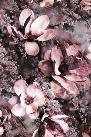 麦穗印花华亿平台图片