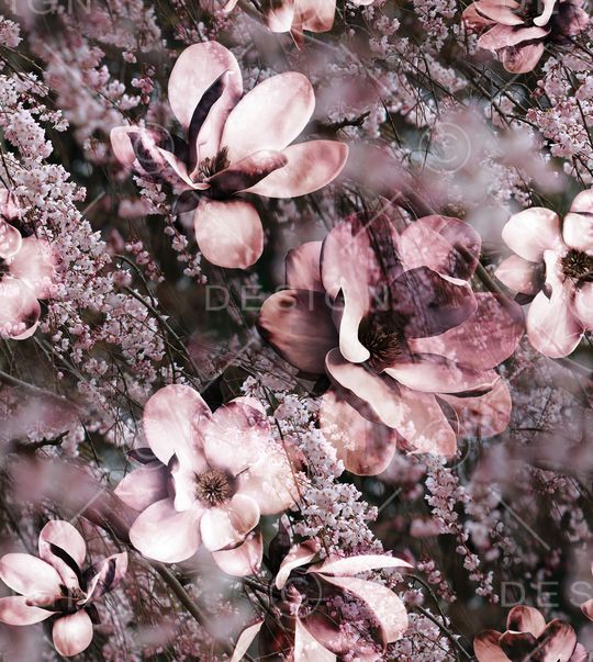 麦穗印花华亿平台图片