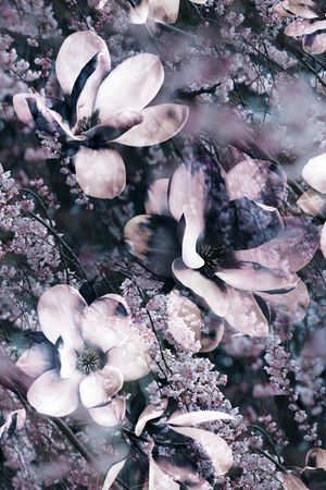 麦穗印花华亿平台图片