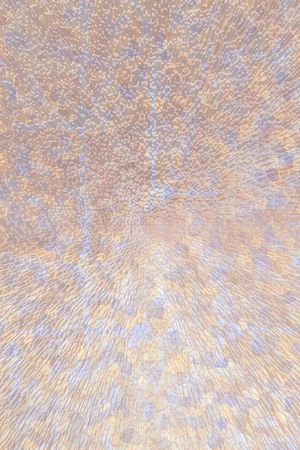 肌理印花华亿平台图片