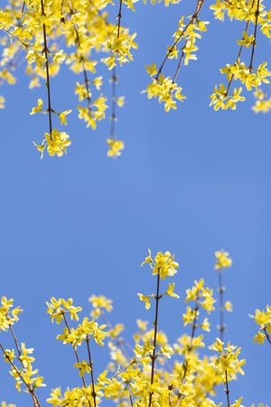 风景景观印花华亿平台图片