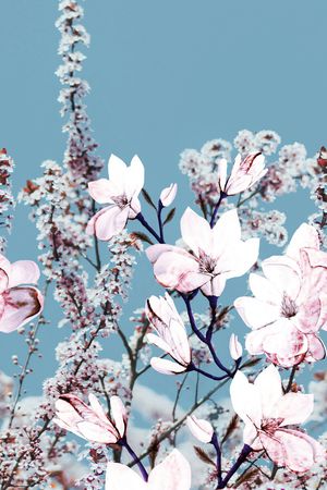 风景景观印花华亿平台图片