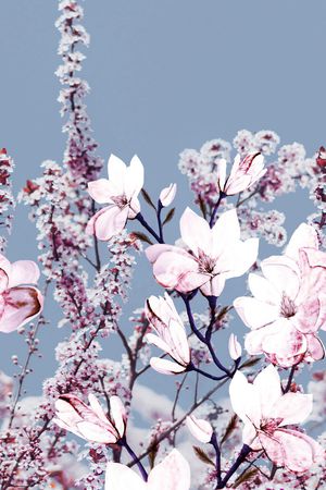 风景景观印花华亿平台图片