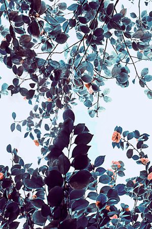 风景景观印花华亿平台图片