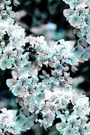 麦穗印花华亿平台图片