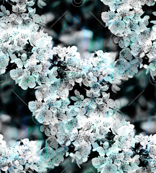 麦穗印花华亿平台图片