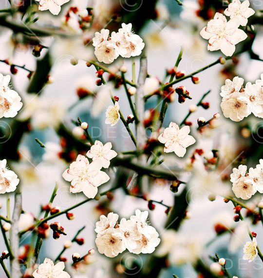 麦穗印花华亿平台图片