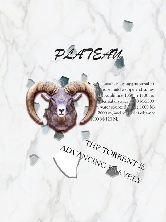 大牌风印花华亿平台图片