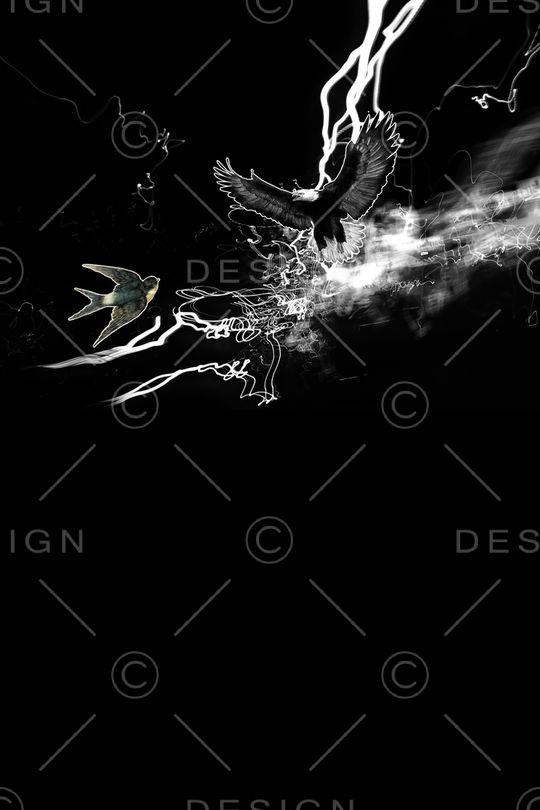 胸前独幅印花华亿平台图片