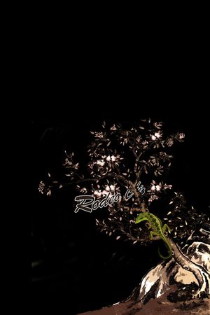 胸前独幅印花华亿平台图片