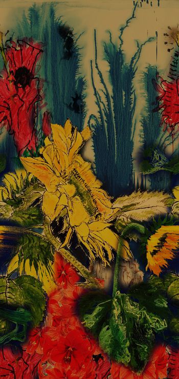 1252944-定位花卉向日葵-2