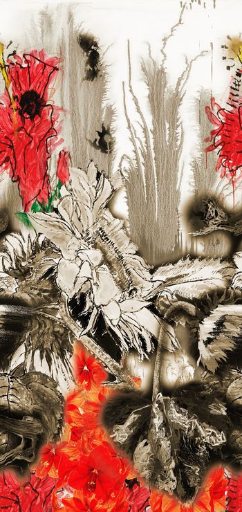 1252953-定位花卉向日葵-3