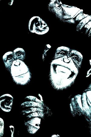 麒麟印花华亿平台图片