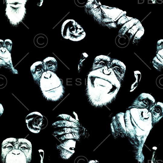 麒麟印花华亿平台图片