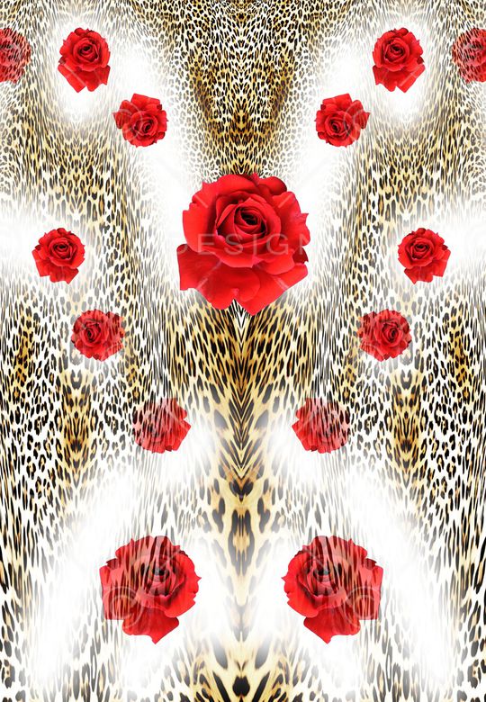 Leopard印花华亿平台图片