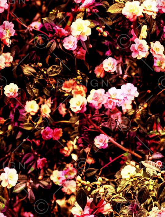 小碎花印花华亿平台图片