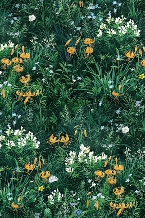 大牌风印花华亿平台图片