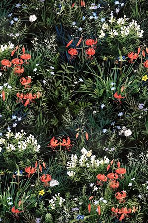 大牌风印花华亿平台图片